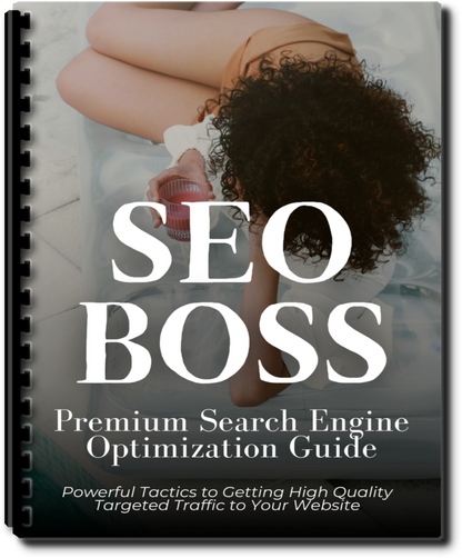 SEO BOSS Masterguide w/MRR